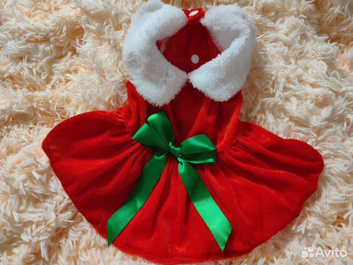 Одежда для собак