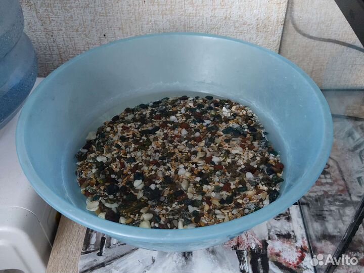 Аквариум 15 литров