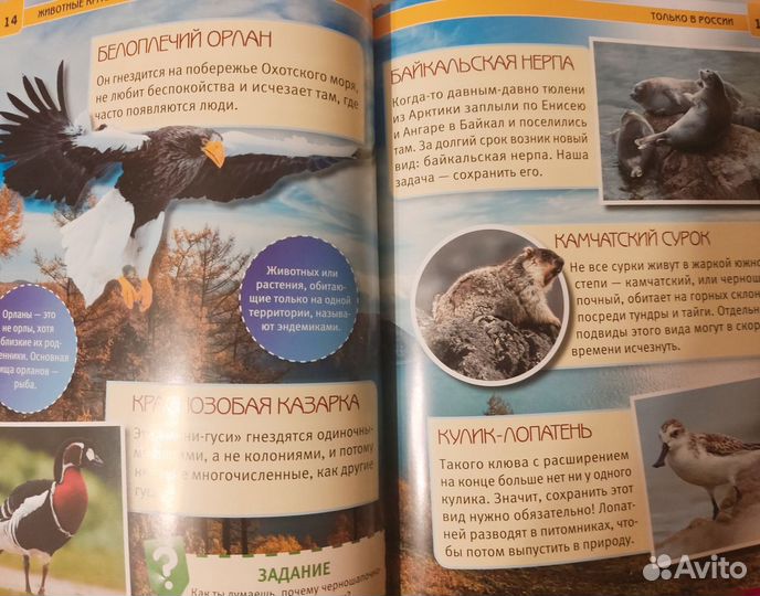 Детская энциклопедия Животные красной книги