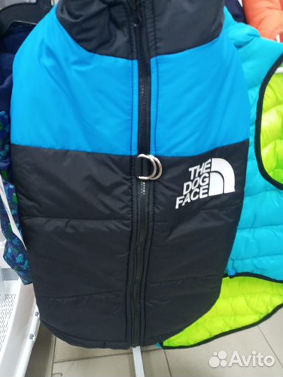 Одежда для собак