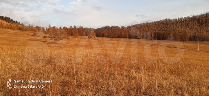 Участок 10 га (СНТ, ДНП)