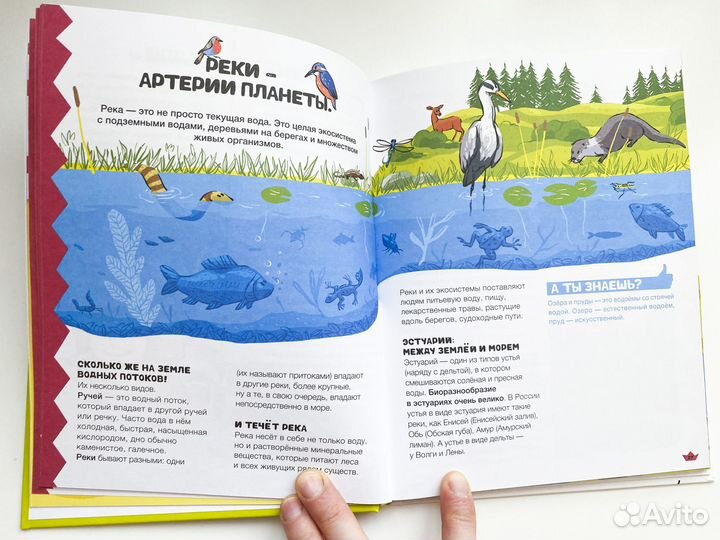 Спасём воду вместе. Учебник юного эколога