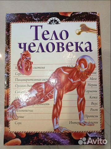 Книга Тело человека