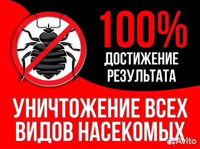 Обработка участков от комаров И других насекомых