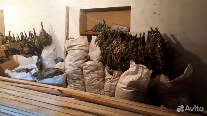 Дубовые березовые веники для бани