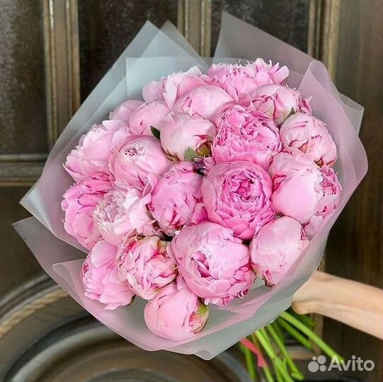 Пионы Букеты Цветы Доставка