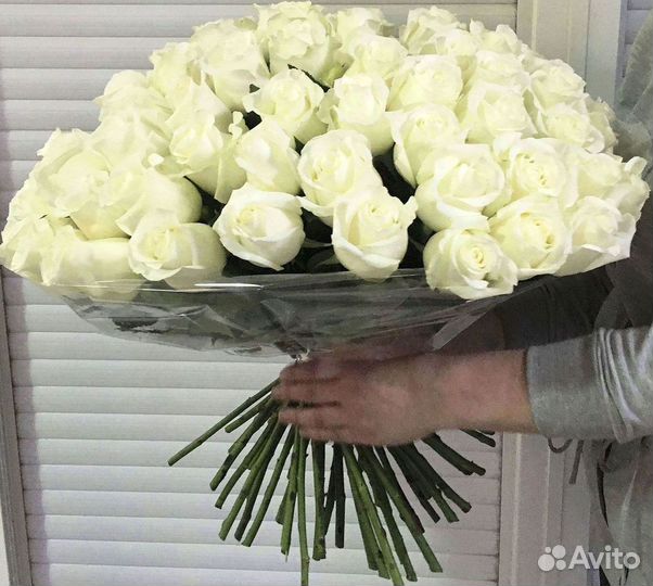 51 Роза, Букеты Цветы Розы 25 101 501 1001