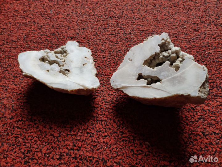 Минералы - Цитрин, Халцедоны, Амонит