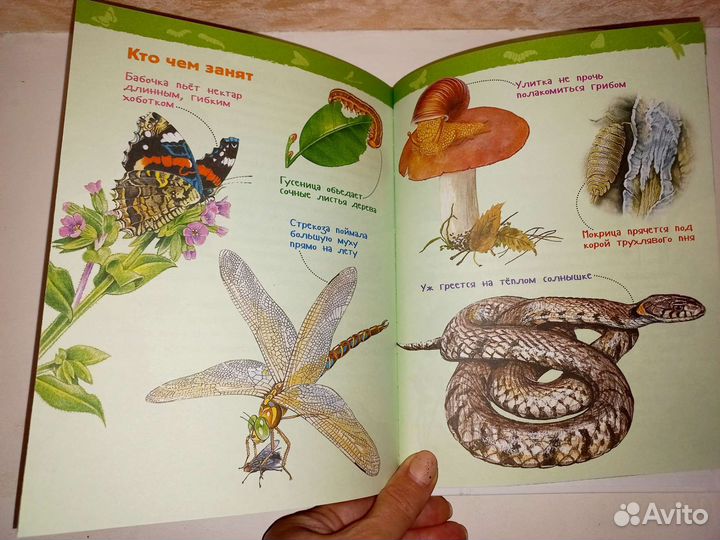 Энциклопедия для детского сада росмэн