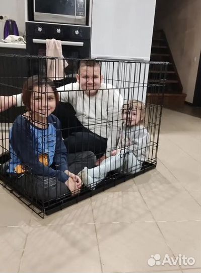 Клетка для собак усиленная №5 + поддон в комплекте