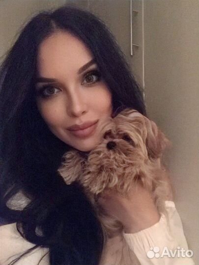 Слушатель друг на час