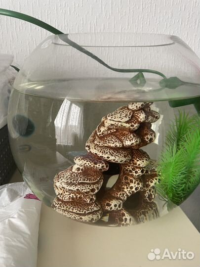 Аквариум с фильтром