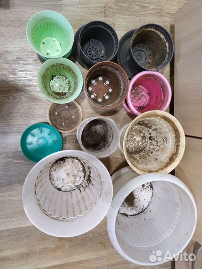 Горшки для цветов бесплатно