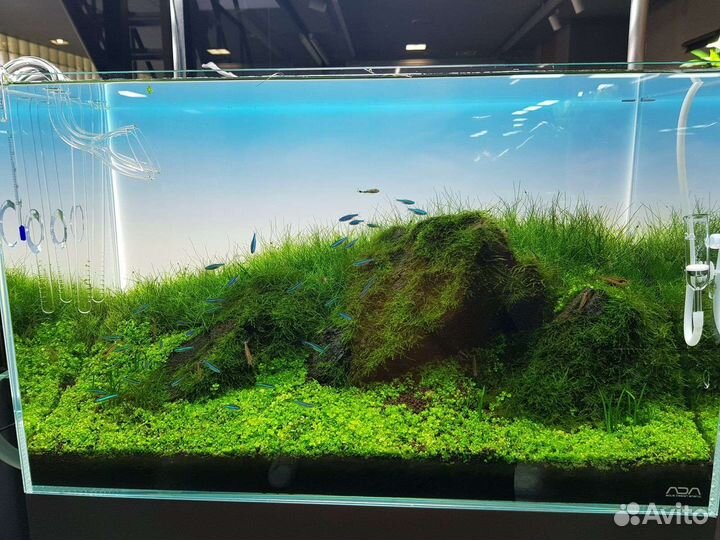 Задний фон для аквариума. Панель с подсветкой