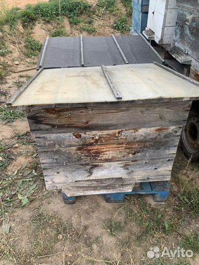 Ульи для пчел бу