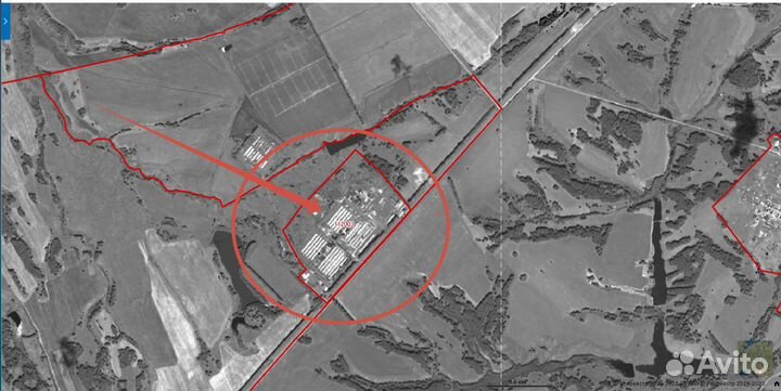 Продажа сельскохоз. комплекса (свинокомплекс)