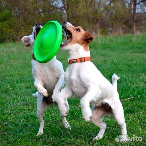 Летающая тарелка Flyber 22см. для собак Фрисби