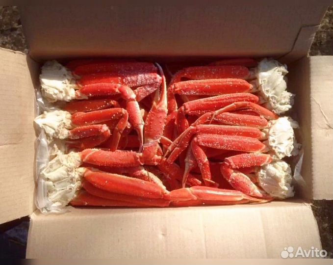 Конечности краба стригуна