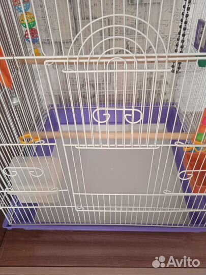 Волнистые попугайчики +большая клетка
