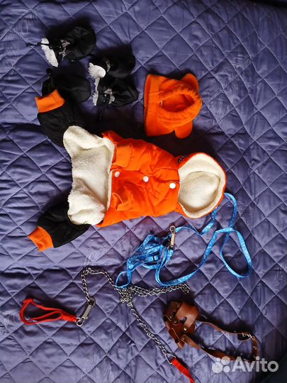 Одежда для собак