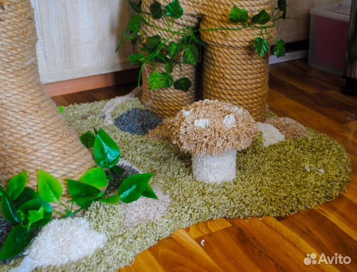 Когтеточка для кошек новая