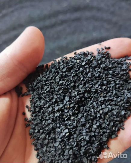 Семена лука чернушка