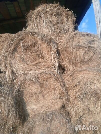 Сено в тюках