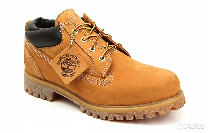 Oxford Waterproof Classic Timberland (43)