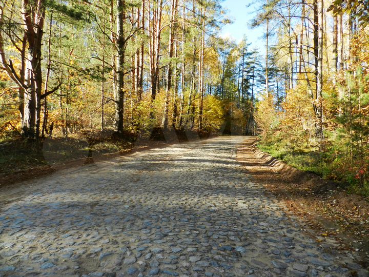 Участок 45 сот. (ИЖС)