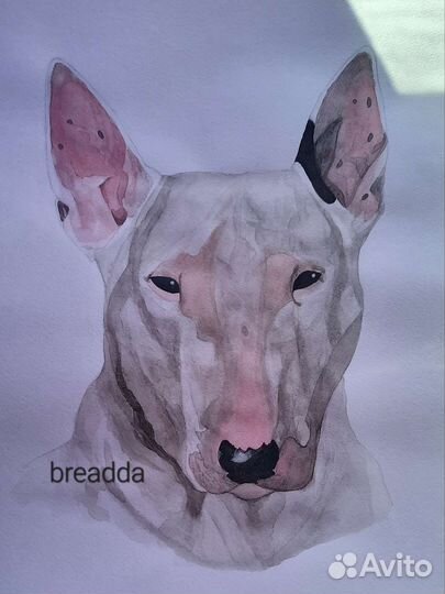 Нарисую вашего питомца