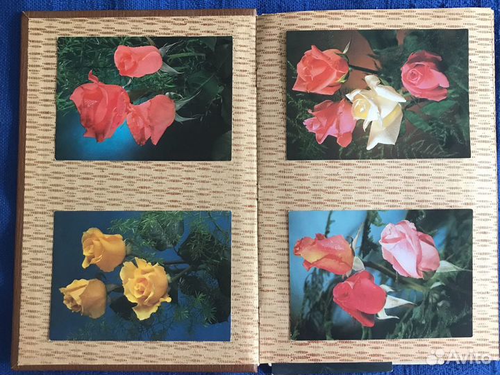 Открытки. Альбом