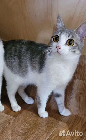 Малышки сестрички