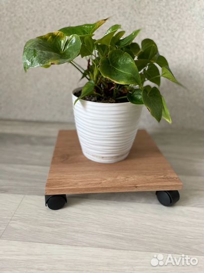 Подствка для цветов на колесах