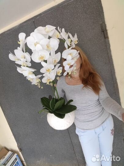 Флорариум Роза в колбе Цветы растения в кашпо, от