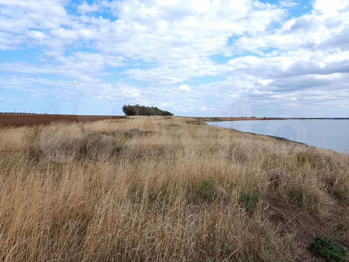 Участок 3 га (СНТ, ДНП)