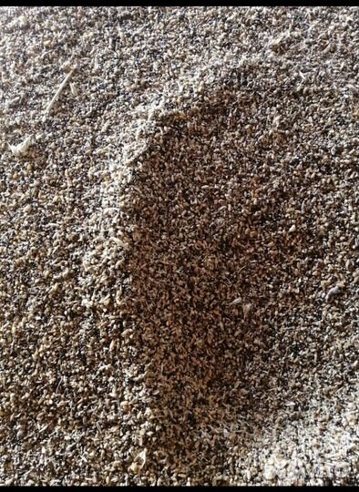 Ячмень. Овёс. Пшеничные отходы