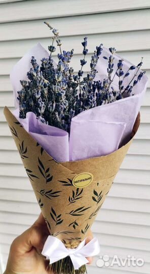 Букет сухоцветов лаванды дикой