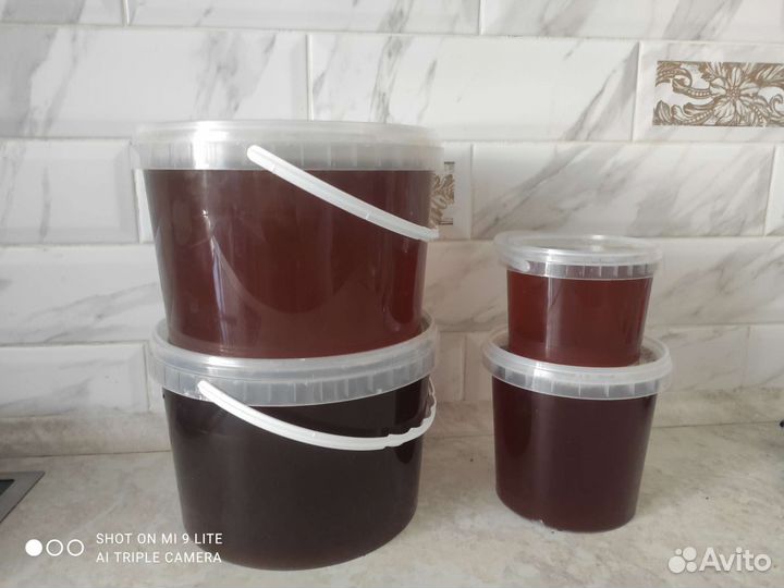 Мед урожай 2023