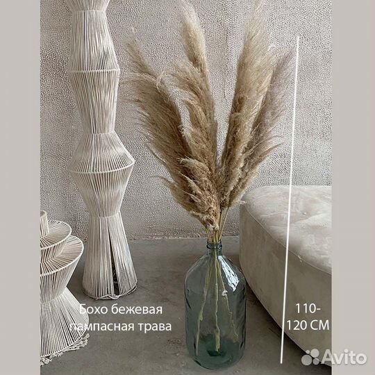 Пампасная трава Белая, Бежевая, Серая