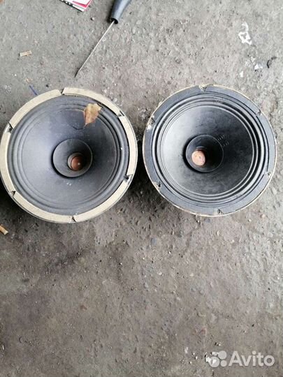 Широкополосные динамики 12