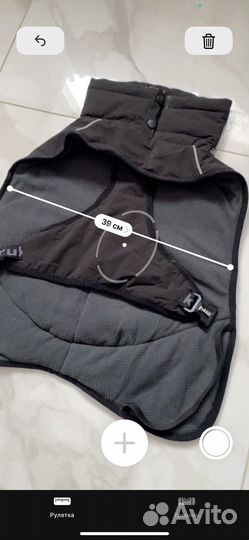 Одежда для собак