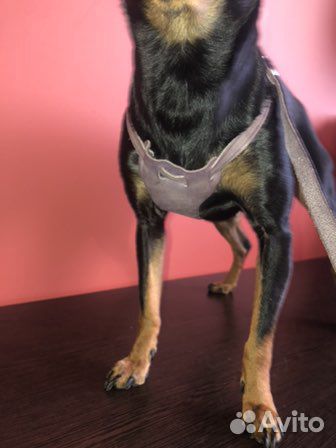 Поводок кожаный