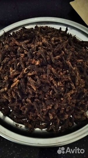 Сушёная азиатская медведка