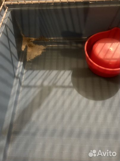 Клетка для грызунов бу