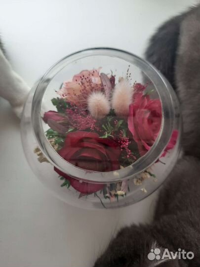 Цветы в колбе