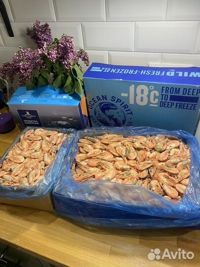 Креветка мурманская (северная) 90/120
