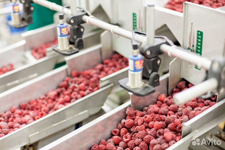 Упаковщица фруктов вахта с питанием и жильем