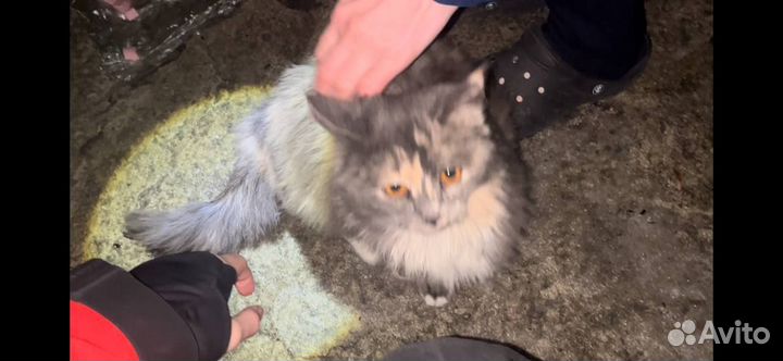 Неравнодушным