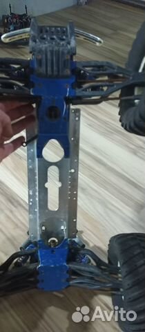 Team associated rival 1/8