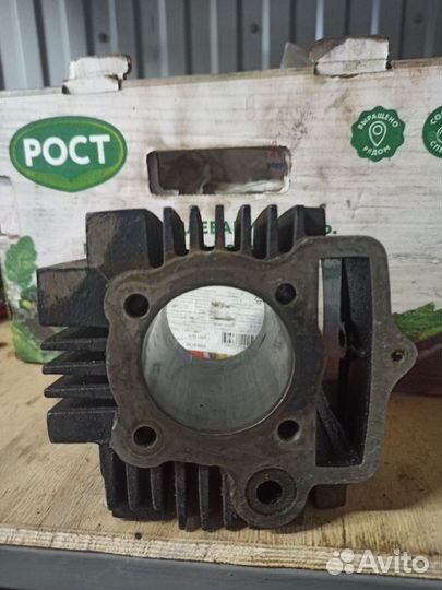 Гбц и цпг на alpha 110 цена за единицу